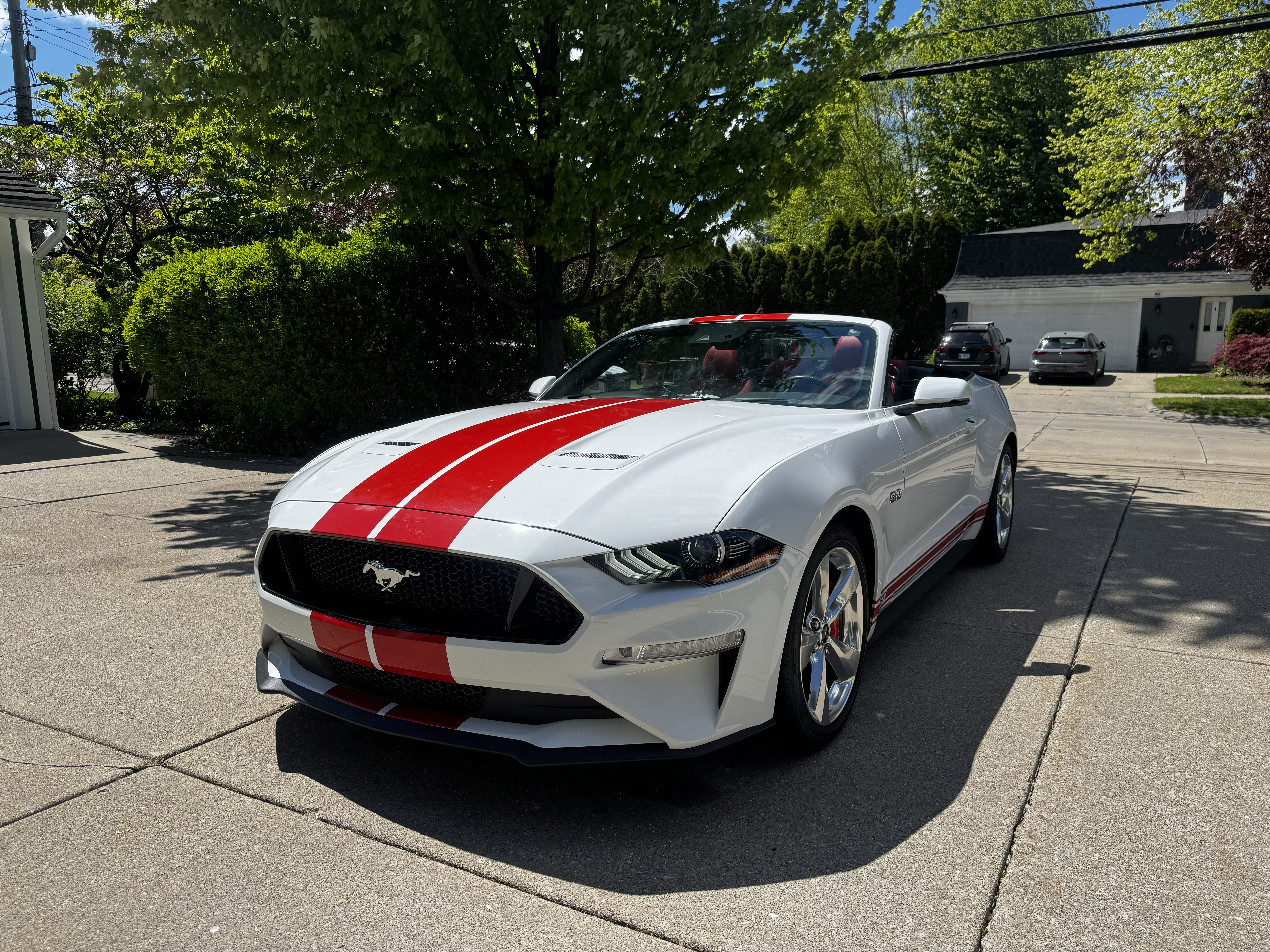 Car detail result